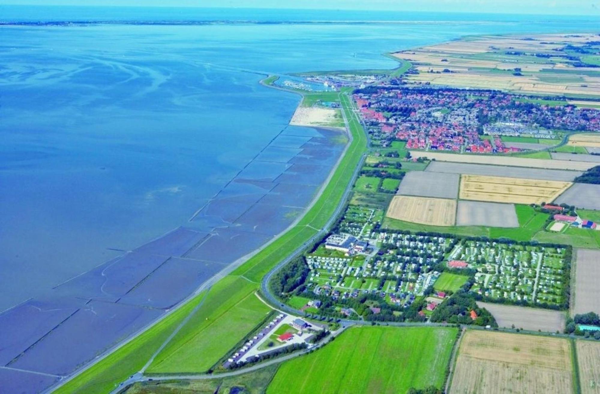 Grosse Nordseewelle Ohne Hund Norden Exterior photo